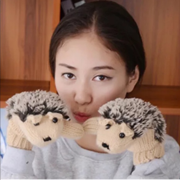 🧤 Accessories - 🧤Hedgehog mittens BRAND NEW 🧤